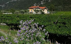 Appartamenti Al Vigneto